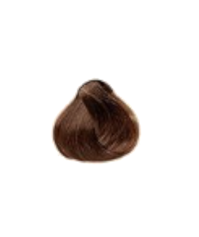 Raywell Avant X Hair Colours without Ammonia & PPD (for use in Salons) - Tulipa Hair & Beauty