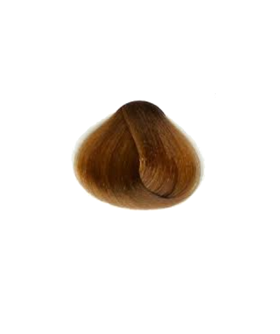 Raywell Avant X Hair Colours without Ammonia & PPD (for use in Salons) - Tulipa Hair & Beauty